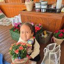 금곡초등학교(병설) 이미지