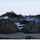 바다이야기 이미지