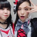 사토 세이라 카카오 검색결과