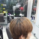 위즈헤어 - 달서구 | 위즈헤어