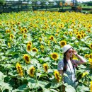 번영로농장 이미지