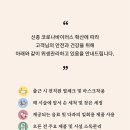 헤어바이러스 이미지