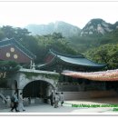 대덕화 | 서울 강북구 우이동, 삼각산 도선사(三角山道詵寺)
