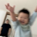 다애어린이집 | 아무말핑 ~