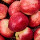 아달달농산 이미지