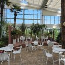 베툴라 자작나무숲 펜션 이미지