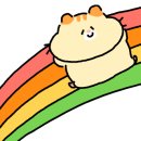 속초회어가