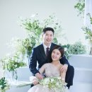 더바오컴퍼니 이미지
