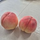 장택농장 이미지