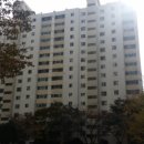 하단동1004 이미지