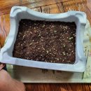 섬진강주유소 이미지