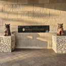 (유)비상렌트카 | 미지의 섬, 오키나와현 이시가키지마 여행기 ✈️ 1일차, 6월16일!