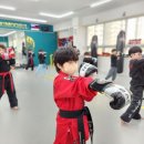 삼호합기도 특공무술 | 수완지구 태권도 &amp; 특공무술, 우리 아이의 선택은?