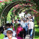 지선약국 이미지