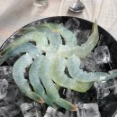 대교왕새우 이미지