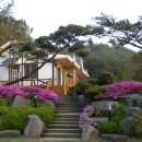 쉼이있는자유 이미지