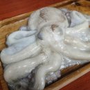 문어랑 쇼핑하우