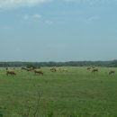 늘보목장 이미지