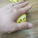 봉구스밥버거울산대점