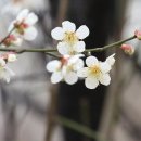 전남제재소 | 장성 초연정(超然亭)