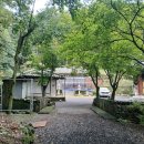 남구-116 이미지