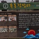 속동전망대 이미지