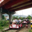 녹색의 추억 이미지