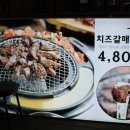 미스터갈매기