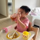 제일어린이집 | 어린이집 물병 어린이 물병 추천템, 트라이탄 &#39; 모즈 MOZ &#39; 내돈내산 후기