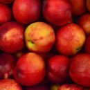 유가유치원(공립) 이미지