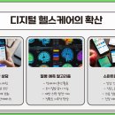 웰니스헬스케어