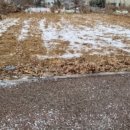 구립하람어린이집 이미지