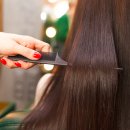 헤이데이짐 이미지