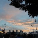 유명동물약품 이미지