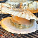 동막해수욕장 식당 강화도 서해촌 활어회 조개구이