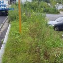 남구-79 이미지