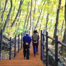입곡군립공원(산림욕장) 이미지