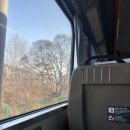 태백역 택시정류소 | 태백산눈축제(주차,대중교통,볼거리 등)과 태백여행 1박2일