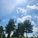 충주산단8로 | 25년 8월 일상- 부제: 맛있으면 비싸도 돼. 근데 맛없는데 비싸면 자진해서 문닫아라