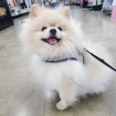 최우식동물병원 이미지