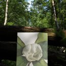 덕계 태권도 이미지