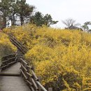 꽃길민박 이미지