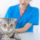 구성동물병원 이미지