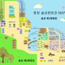 대길2농장 | 평창 솔섬 오토캠핑장 아이와 함께 금당계곡에서 물놀이 후기