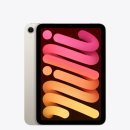 시월에농장 | 아이패드 미니 7세대 내돈내산 후기｜A17PRO 독서용 구매 언박싱