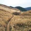 창녕-영산-영산센터-01 이미지