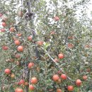 근로복지공단천안어린이집 이미지