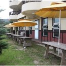 병아리펜션 이미지