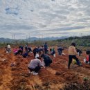 정신농장 이미지