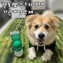 몽실펫 | 몽실ฅ 강아지 영양제 : 헬로마이펫 뉴트리댕댕 기관지 후기